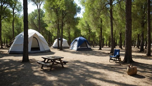Camping le mas de mourgues 3 étoiles : votre escapade en camargue